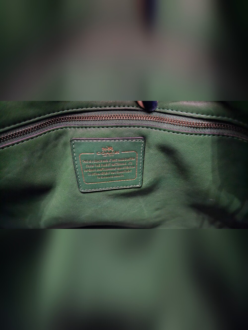 Coach Mae Hobo Hunter Green Glovetanned Leather Crossbody Bag - Picture 8 of 15